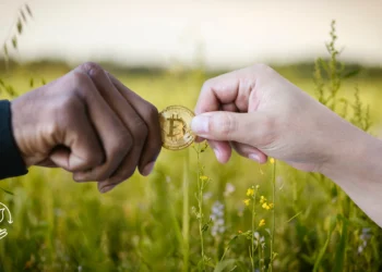 Análise do Preço do Agro Global em 2025 O Que Esperar no Mercado de Cripto Agro