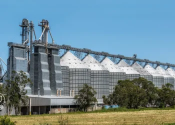 Boas práticas para armazenar grãos com segurança