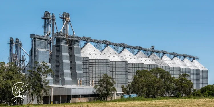 Boas práticas para armazenar grãos com segurança