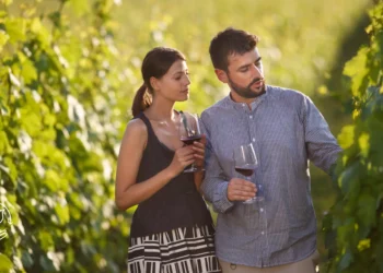 Como agregar valor à produção rural com turismo e experiências no campo