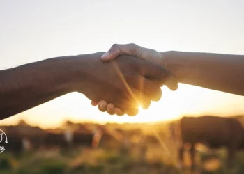 Como conseguir crédito rural e quais são os requisitos