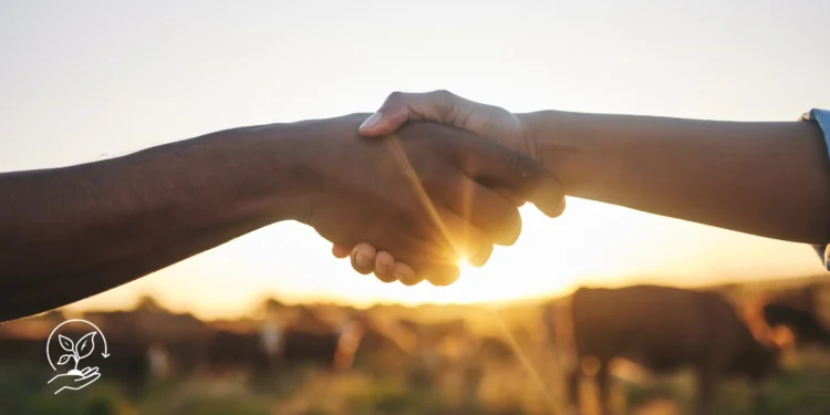 Como conseguir crédito rural e quais são os requisitos