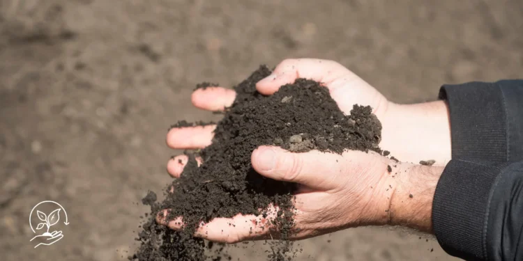 Como economizar na produção agrícola sem perder qualidade