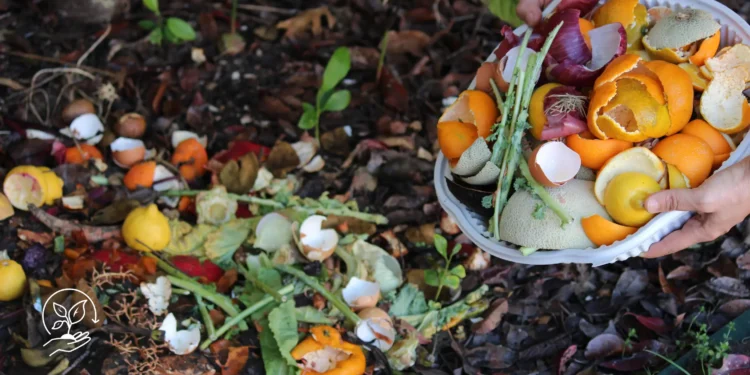 Como fazer compostagem e transformar resíduos em adubo