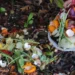 Como fazer compostagem e transformar resíduos em adubo