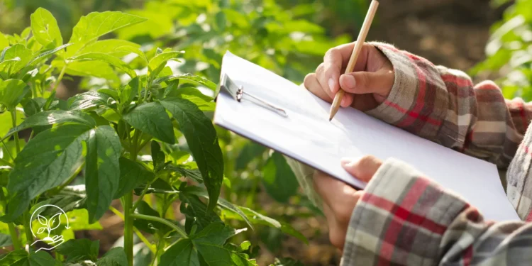 Como fazer um bom planejamento financeiro rural
