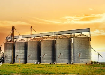 Como funciona o mercado de commodities agrícolas