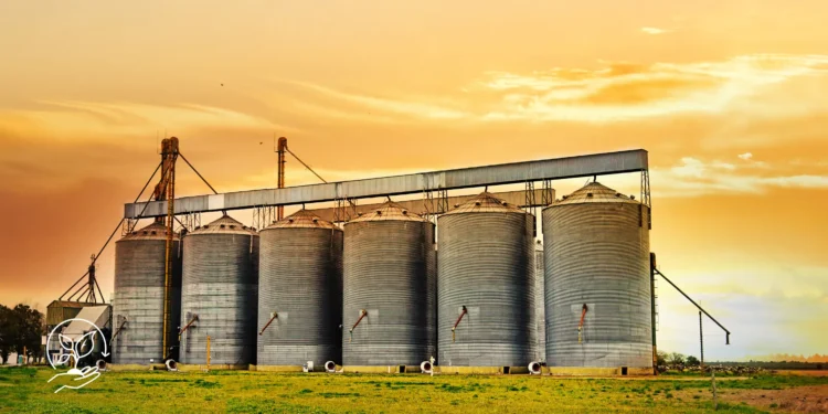 Como funciona o mercado de commodities agrícolas