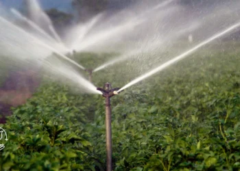 Como melhorar o aproveitamento da água na propriedade rural