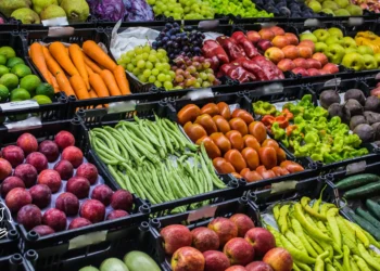 Como montar uma horta orgânica em casa ou na propriedade rural