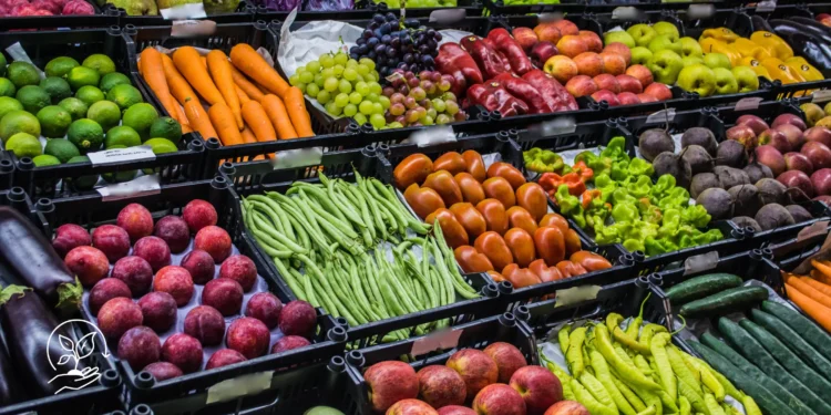 Como montar uma horta orgânica em casa ou na propriedade rural