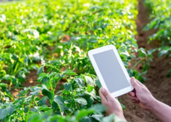 Como organizar melhor o tempo e as tarefas na propriedade rural