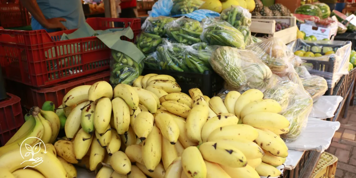Como participar de feiras e aumentar as vendas da produção rural