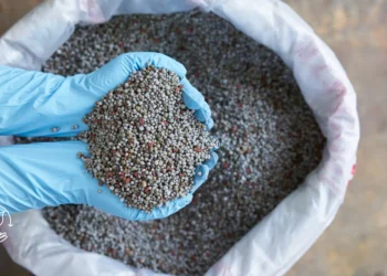 Como produzir biofertilizantes na sua propriedade