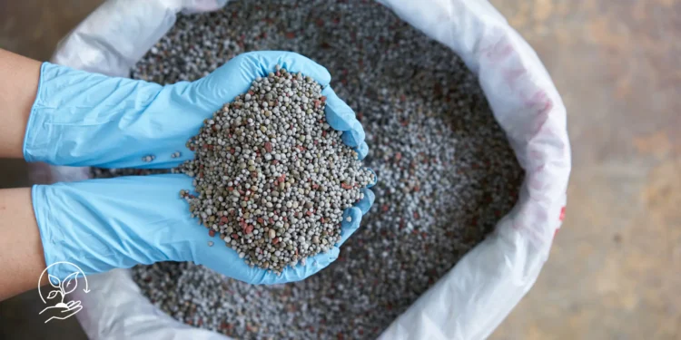 Como produzir biofertilizantes na sua propriedade