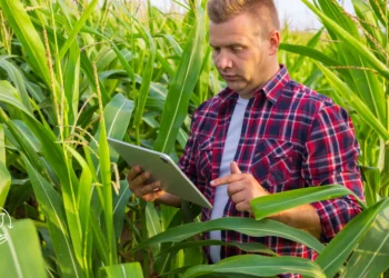Como usar biofertilizantes e quais os seus benefícios