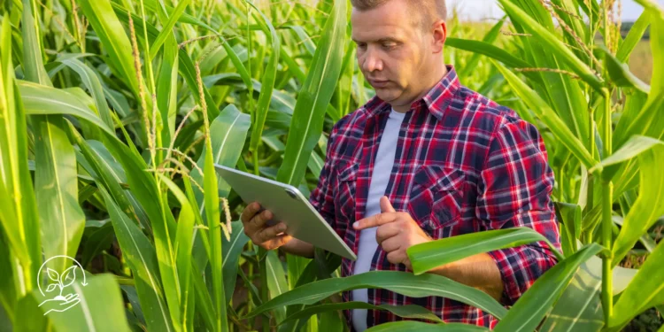 Como usar biofertilizantes e quais os seus benefícios