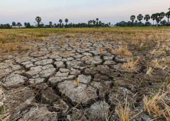 Dicas para aproveitar melhor a água na agricultura