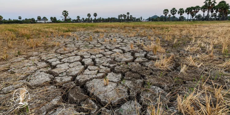 Dicas para aproveitar melhor a água na agricultura