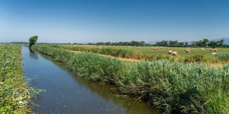 Dicas para aproveitar melhor a água na agricultura