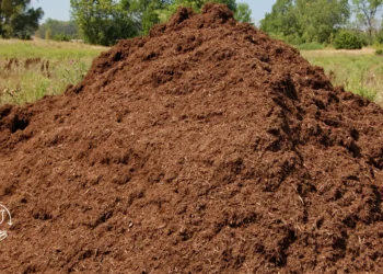 Dicas para aproveitar melhor o esterco na pequena propriedade