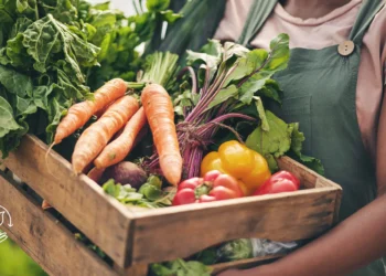 Dicas para pequenos produtores venderem direto ao consumidorDicas para pequenos produtores venderem direto ao consumidor