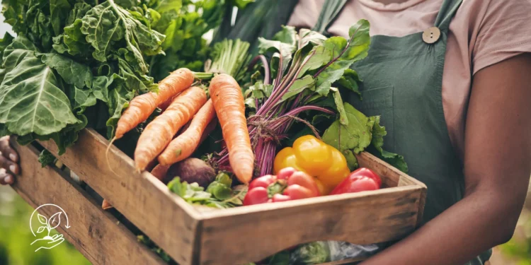 Dicas para pequenos produtores venderem direto ao consumidorDicas para pequenos produtores venderem direto ao consumidor