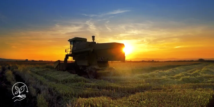 Dicas para tornar sua fazenda mais sustentável