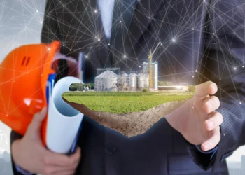 Entenda o Funcionamento das Stablecoins Colateralizadas em Grãos com a Agrotoken