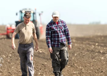 Manejo do solo práticas essenciais para uma boa produção