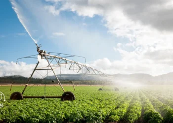 O impacto do clima nas lavouras como se preparar