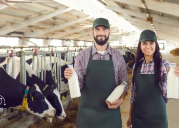 Como melhorar a produtividade na pequena propriedade rural