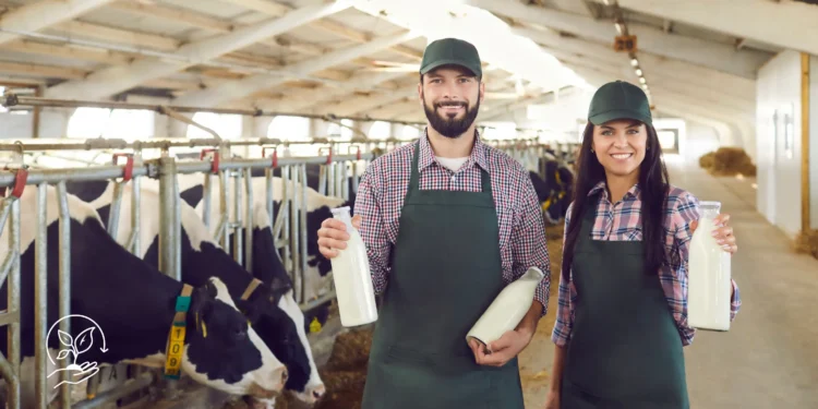 Como melhorar a produtividade na pequena propriedade rural