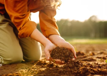 Como aplicar a agricultura regenerativa em pequenas propriedades