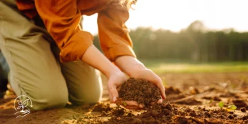 Como aplicar a agricultura regenerativa em pequenas propriedades
