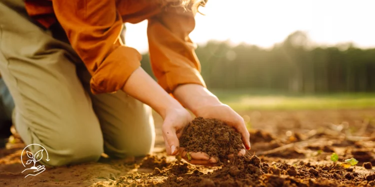 Como aplicar a agricultura regenerativa em pequenas propriedades